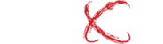 MLS Exing logo beli