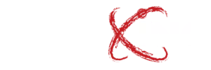 MLS-Exing-logo-beli
